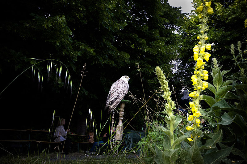 Ständige Gegenwart 1