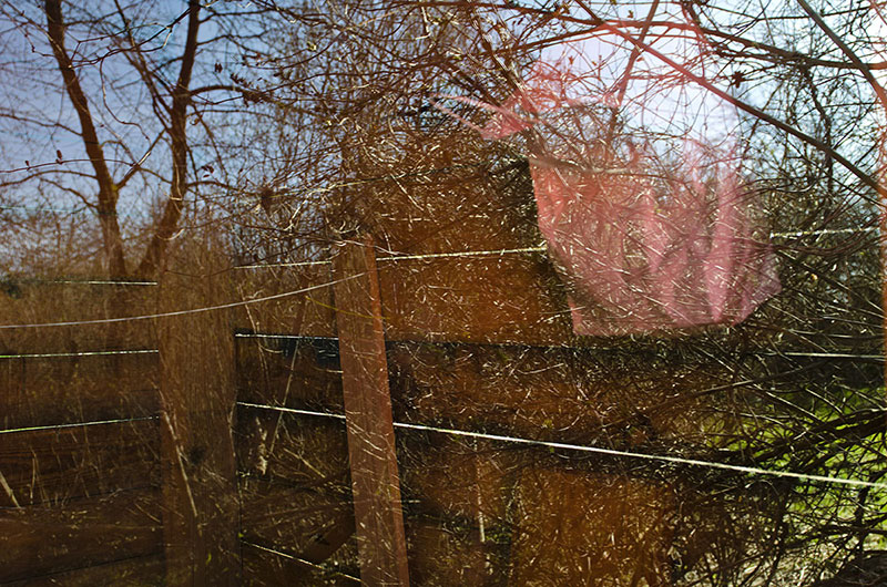 Ständige Gegenwart 1