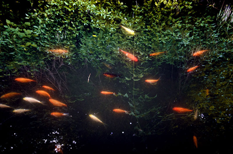 Ständige Gegenwart 1