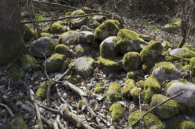 Ständige Gegenwart 1