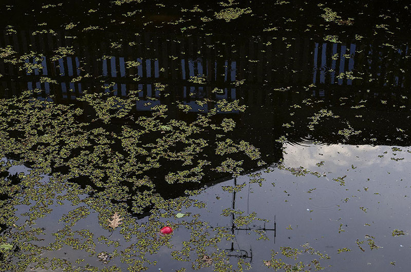 Ständige Gegenwart 1