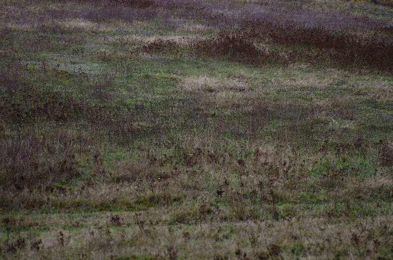 Ständige Gegenwart 1