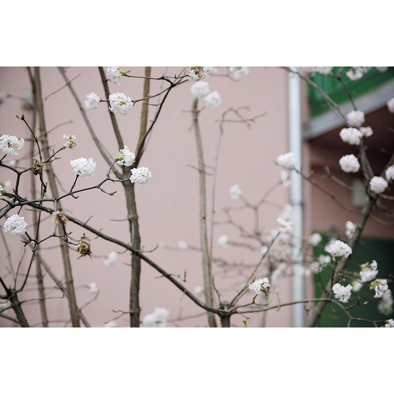 Ständige Gegenwart 2