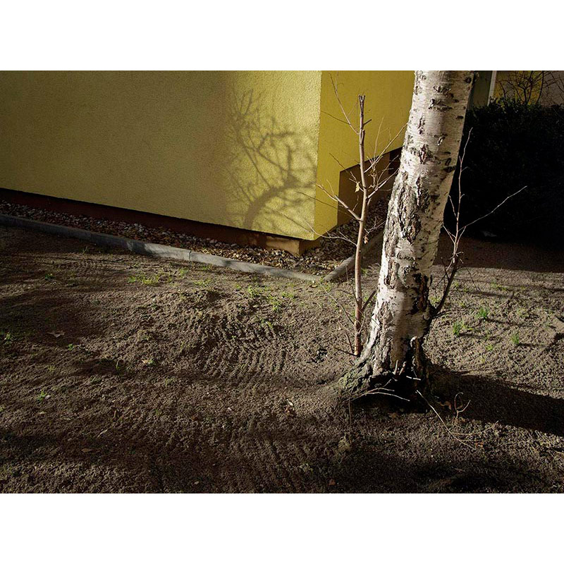 Ständige Gegenwart 2