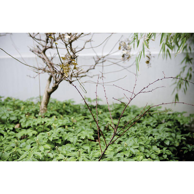 Ständige Gegenwart 2