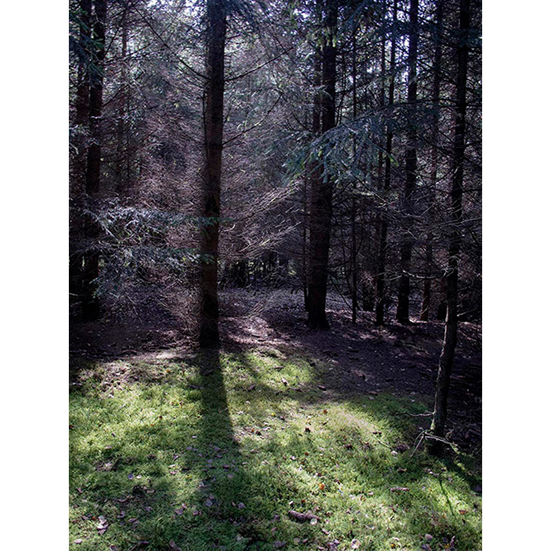 Ständige Gegenwart 2