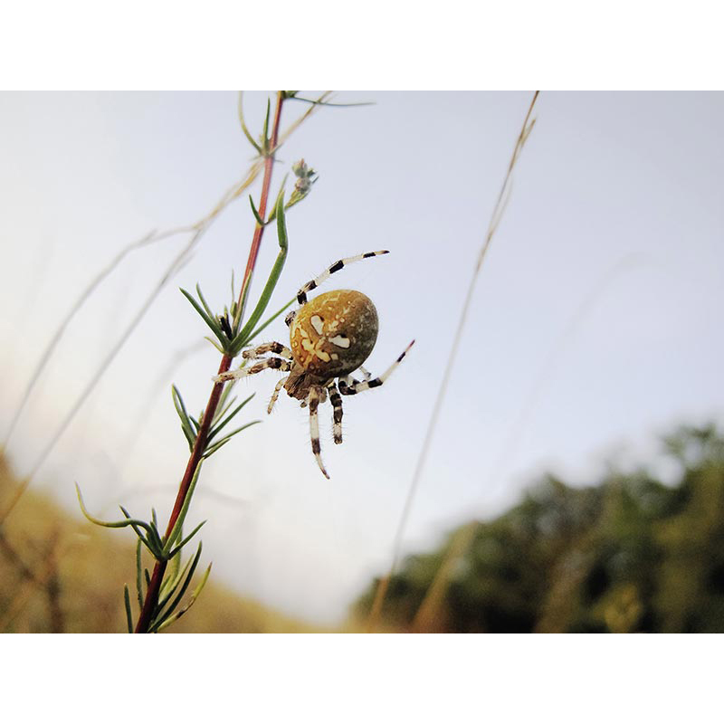 Ständige Gegenwart 2