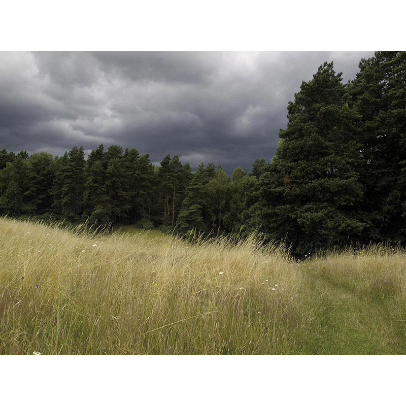 Ständige Gegenwart 2