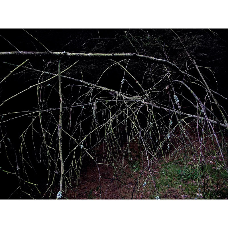 Ständige Gegenwart 2