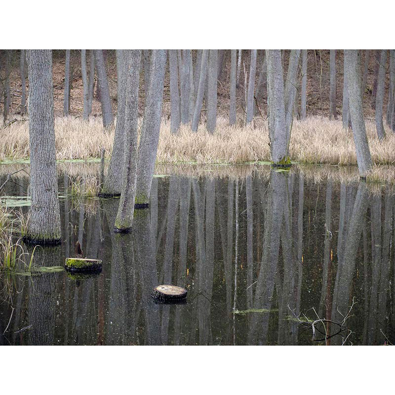 Ständige Gegenwart 2