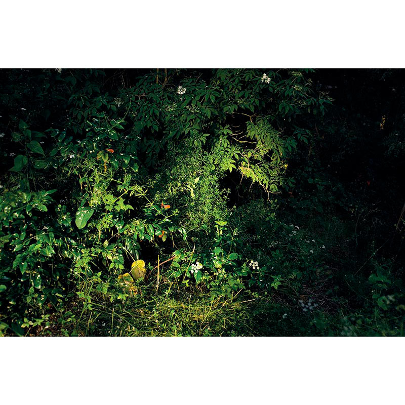 Ständige Gegenwart 2