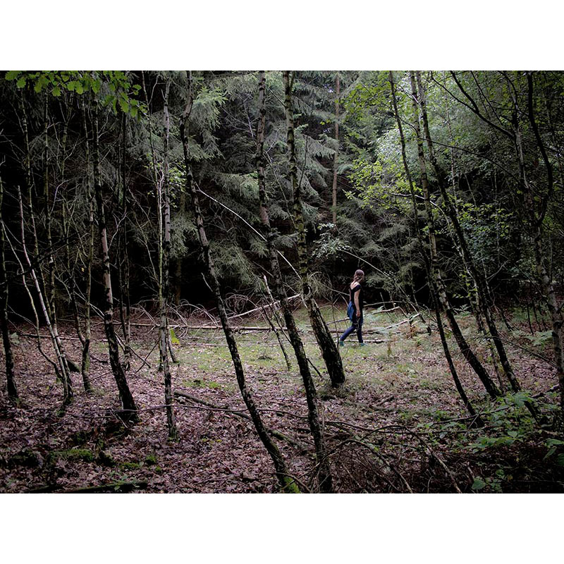 Ständige Gegenwart 2