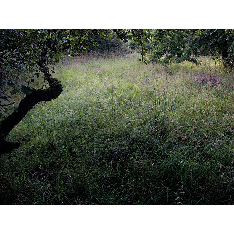 Ständige Gegenwart 2