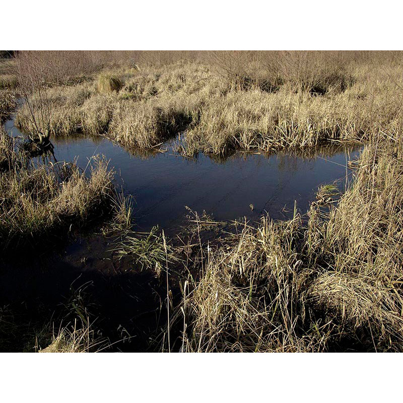 Ständige Gegenwart 2