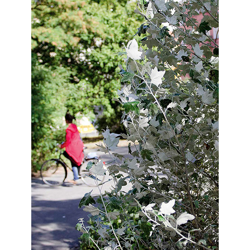 Ständige Gegenwart 2