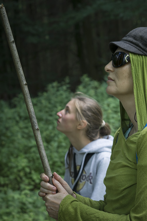 Wenn es wiederkommt, das Licht